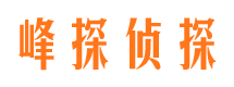 源汇找人公司